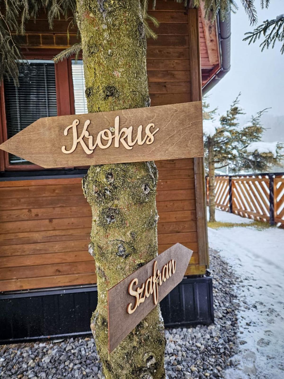 Drewniany Krokus Holiday home Witow (Tatra)
