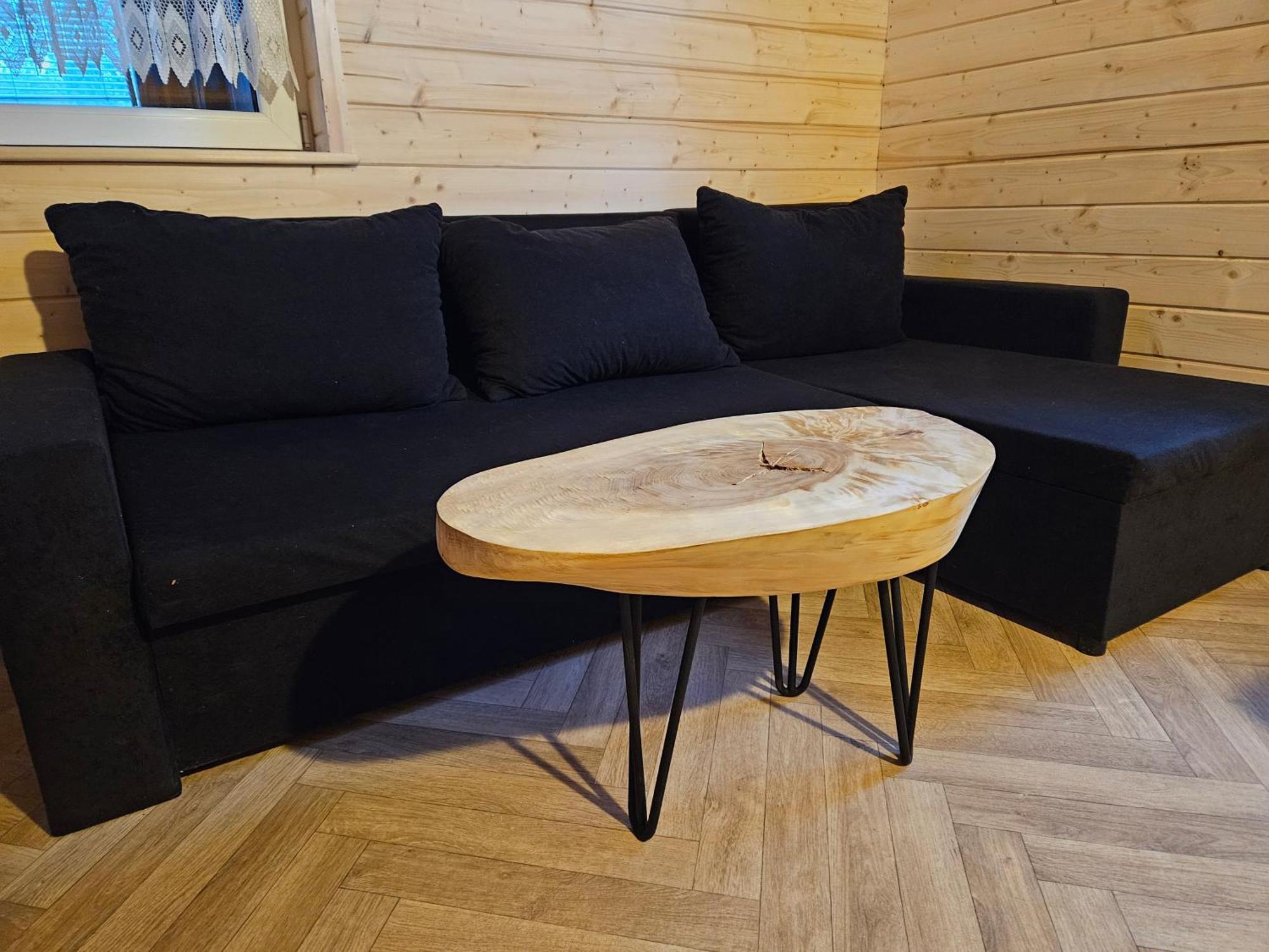 Holiday home Drewniany Krokus Witow (Tatra)