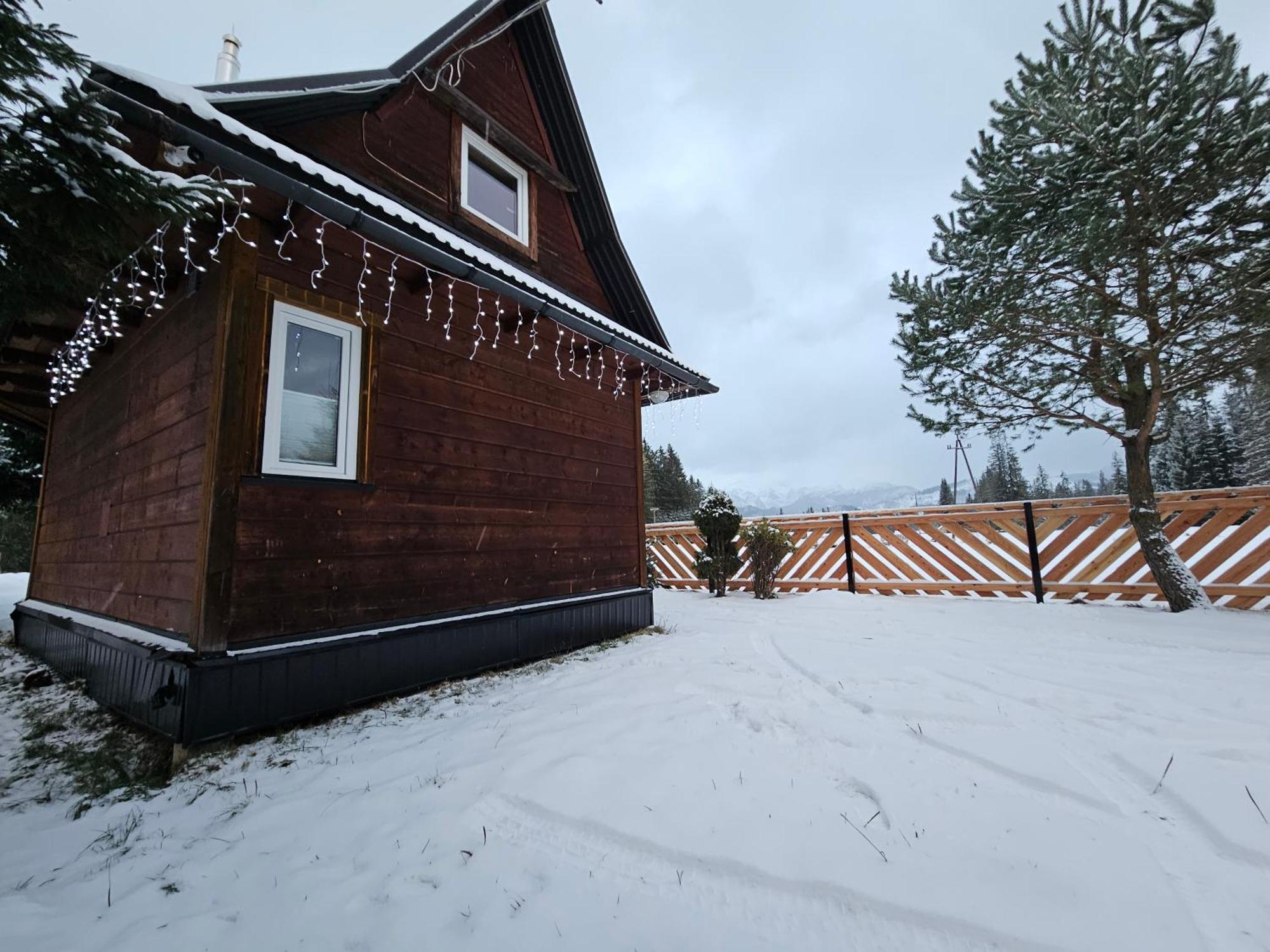 Drewniany Krokus Witow (Tatra)